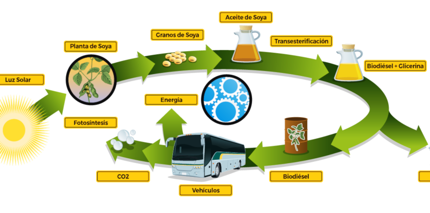 Empresarios del biodiesel esperan que la mezcla se incremente hasta el 10%