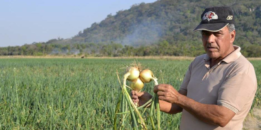 Productores destacan resultados favorables tras mayor freno al contrabando