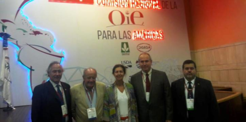 Paraguay presente en la 24ª Conferencia de la Comisión Regional de la OIE para las Américas