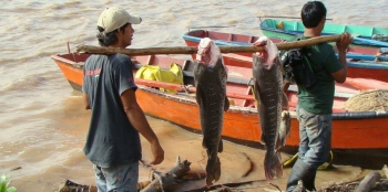 Sigue el pago de subsidio a pescadores de todo el país