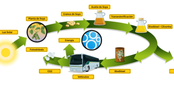 Empresarios del biodiesel esperan que la mezcla se incremente hasta el 10%